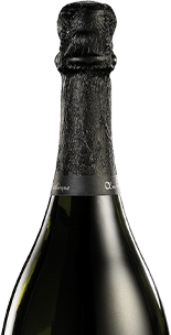 champagne-top-bottle